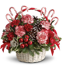 Candy Cane Christmas from Arjuna Florist in Brockport, NY